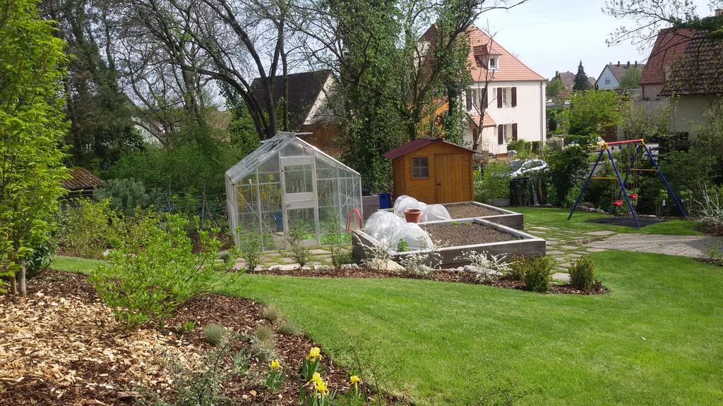 Gite Des Merles Миттельвир Экстерьер фото