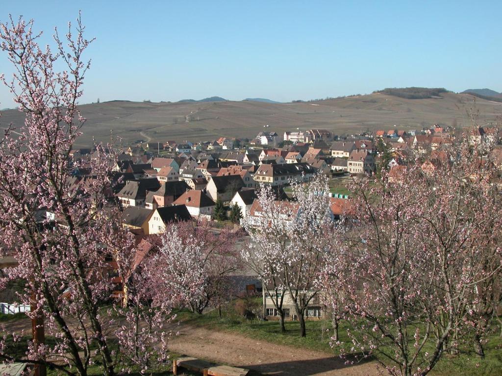Gite Des Merles Миттельвир Экстерьер фото